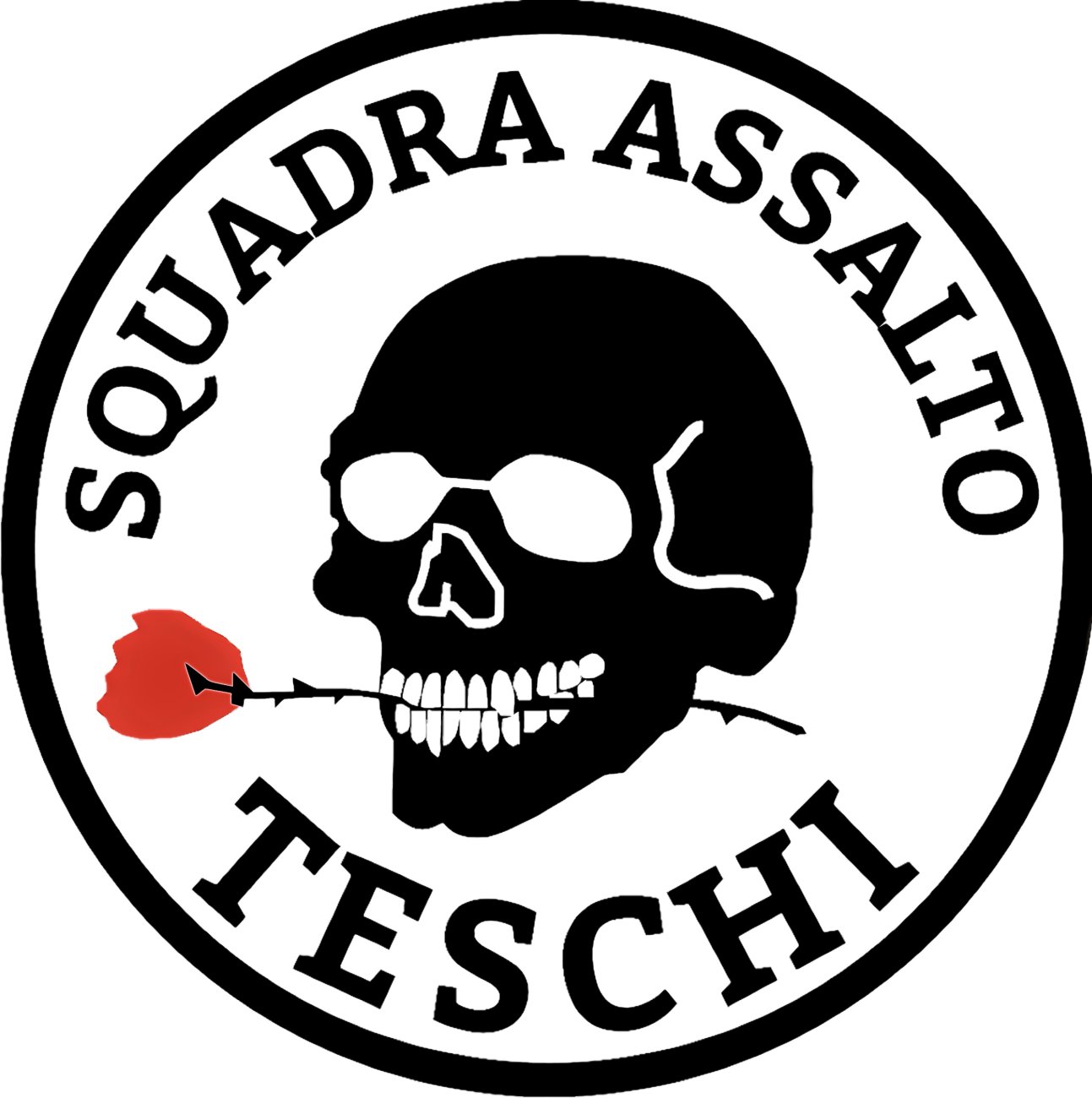Logo di Teschi Vicenza