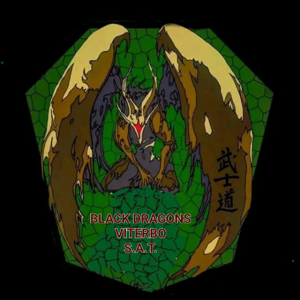 Logo di ASD BLACK DRAGONS VITERBO SAT