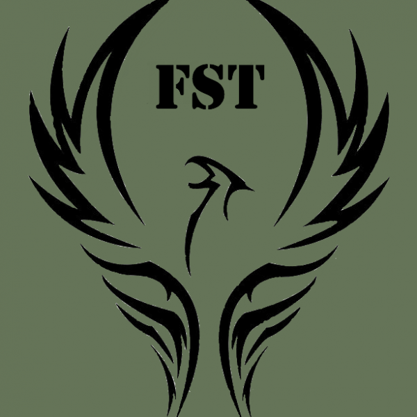 Logo di Fenici ST