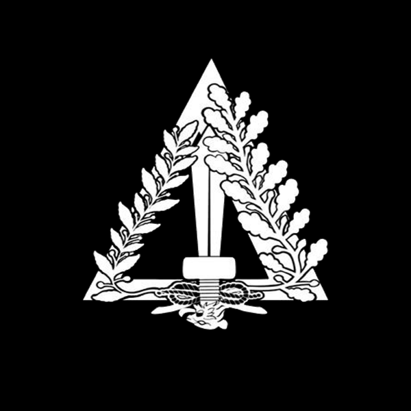 Logo di DELTA TEAM
