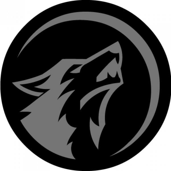 Logo di TEAM SIERRA