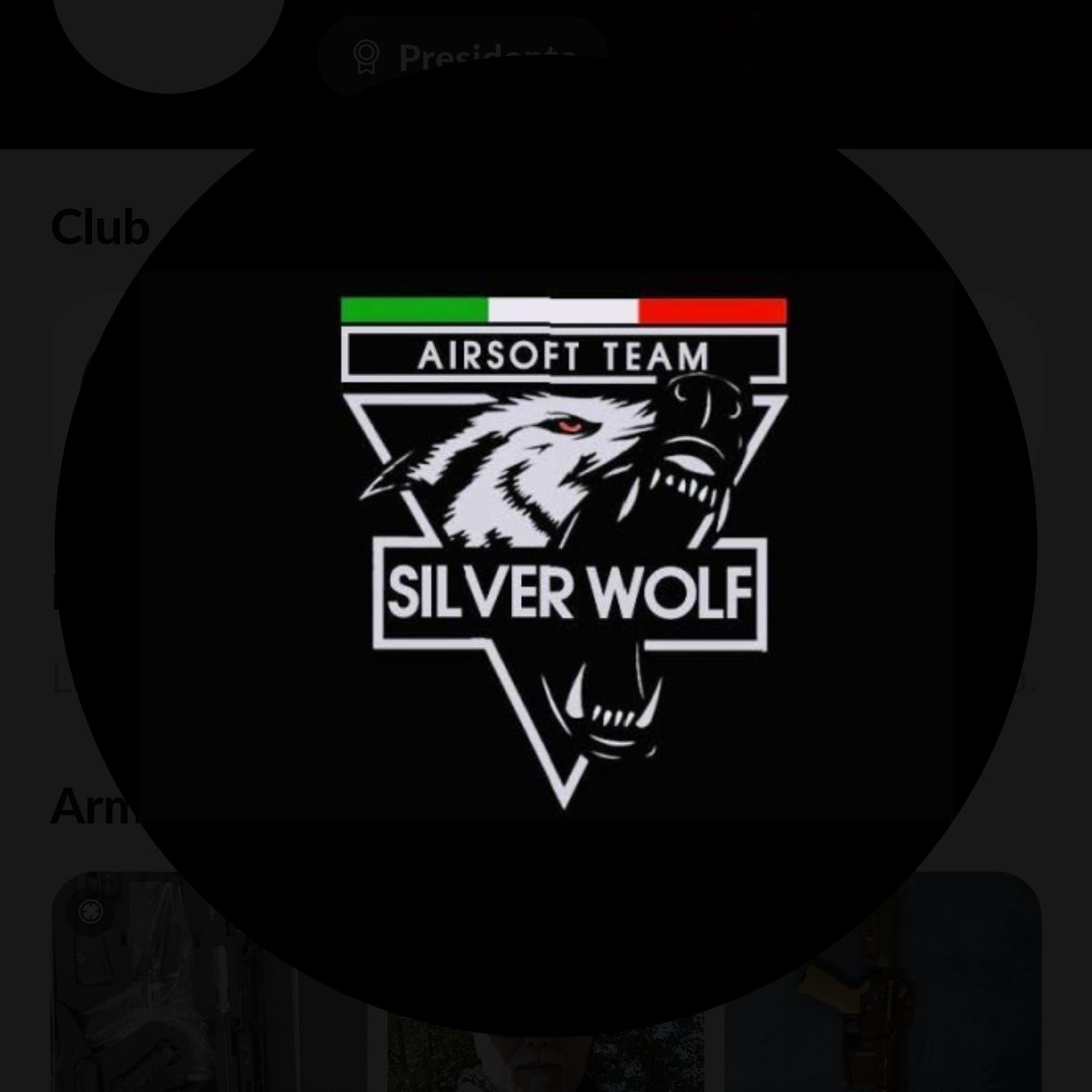 Logo di Silver Wolf AirSoft