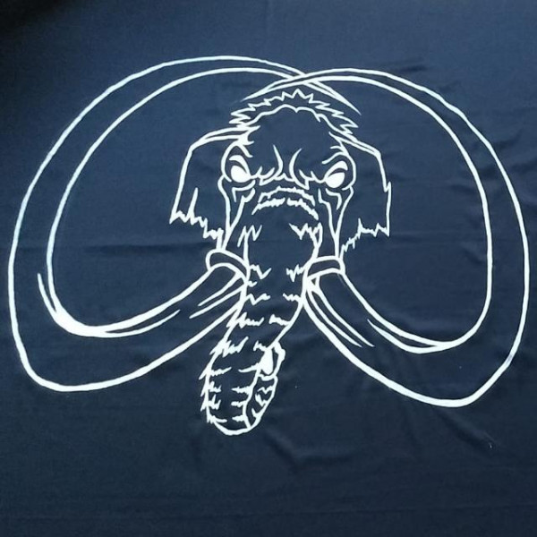 Logo di D.P.M