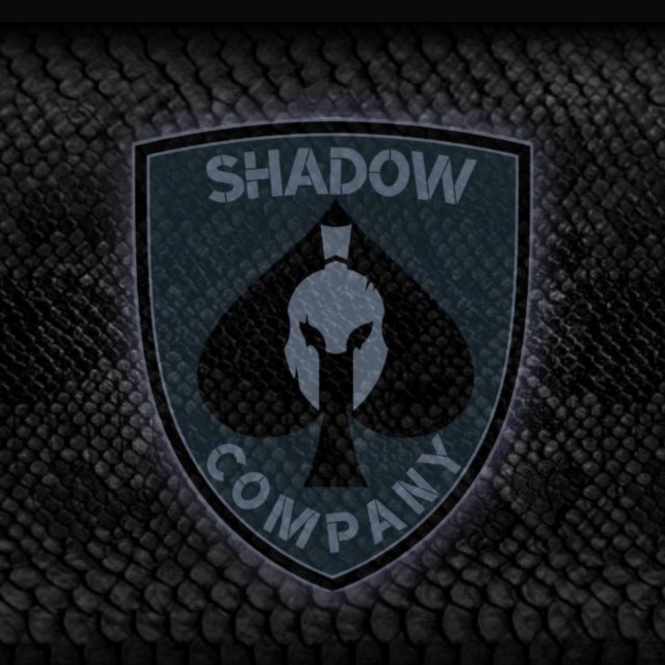 Logo di ASD SHADOW COMPANY SOFTAIR ALESSANDRIA