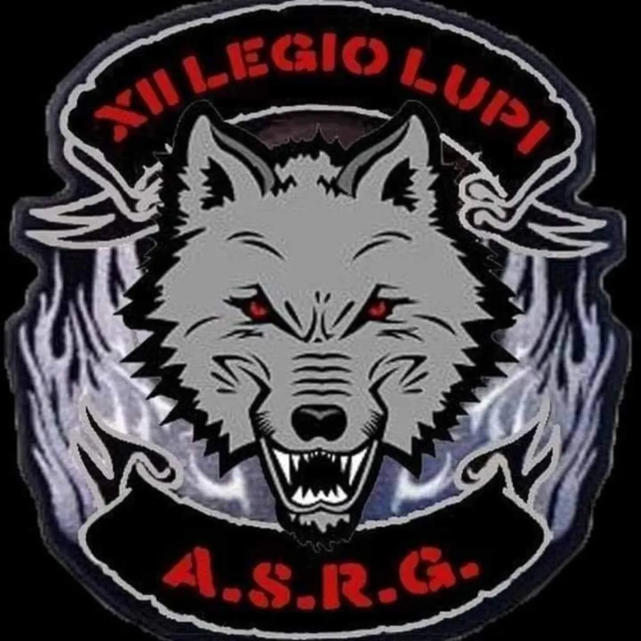 Logo di XII LEGIO LUPI