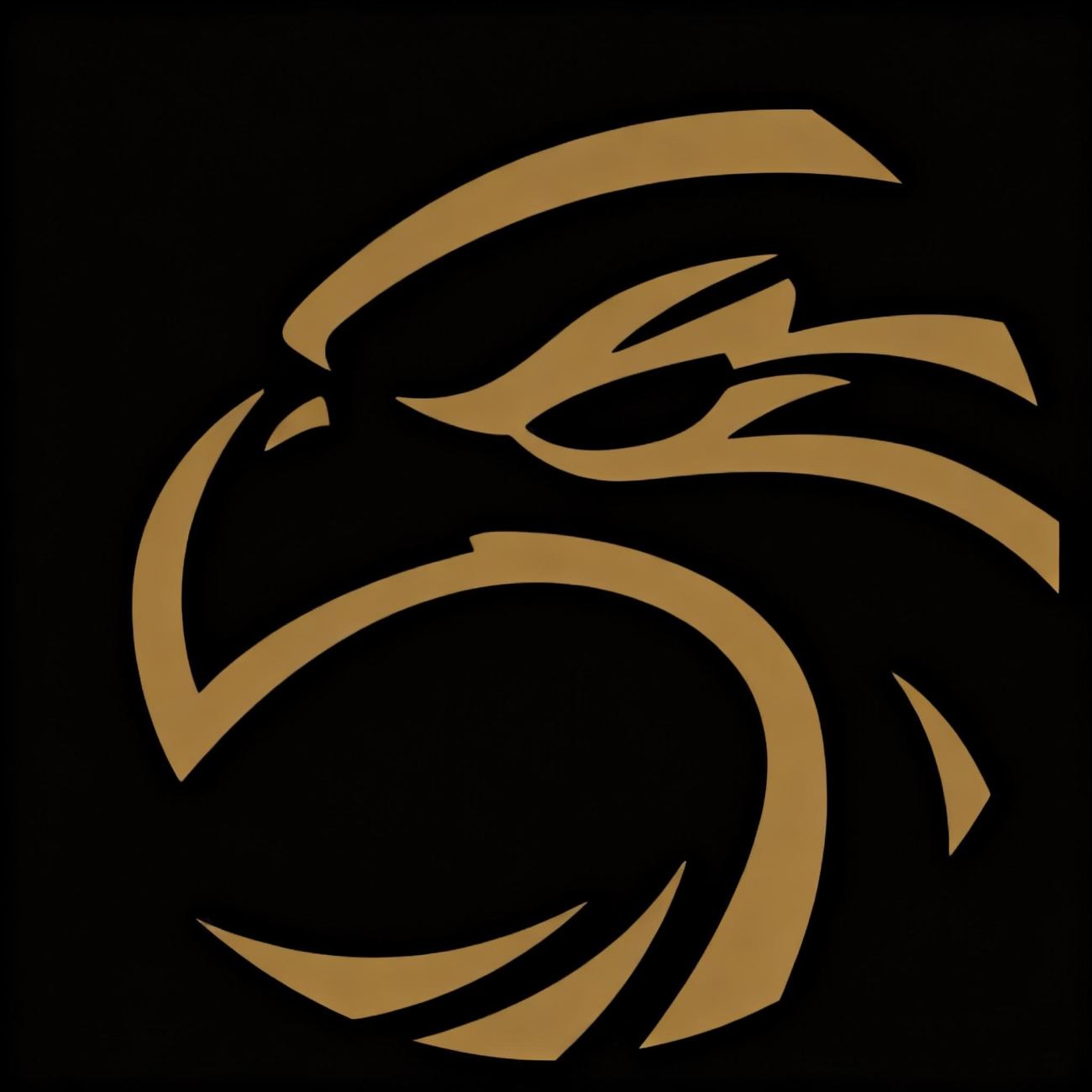 Logo di FALCONS