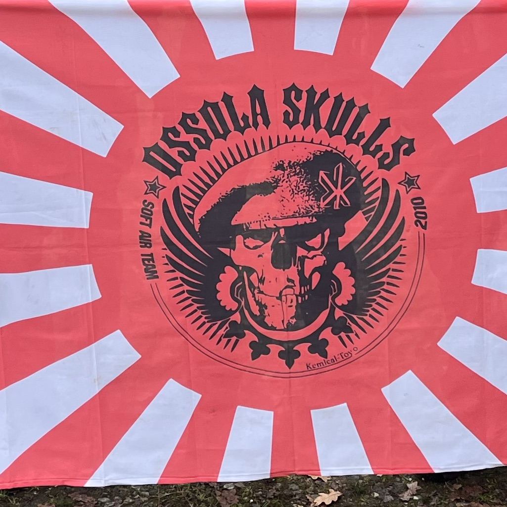 Logo di Ossola Skulls